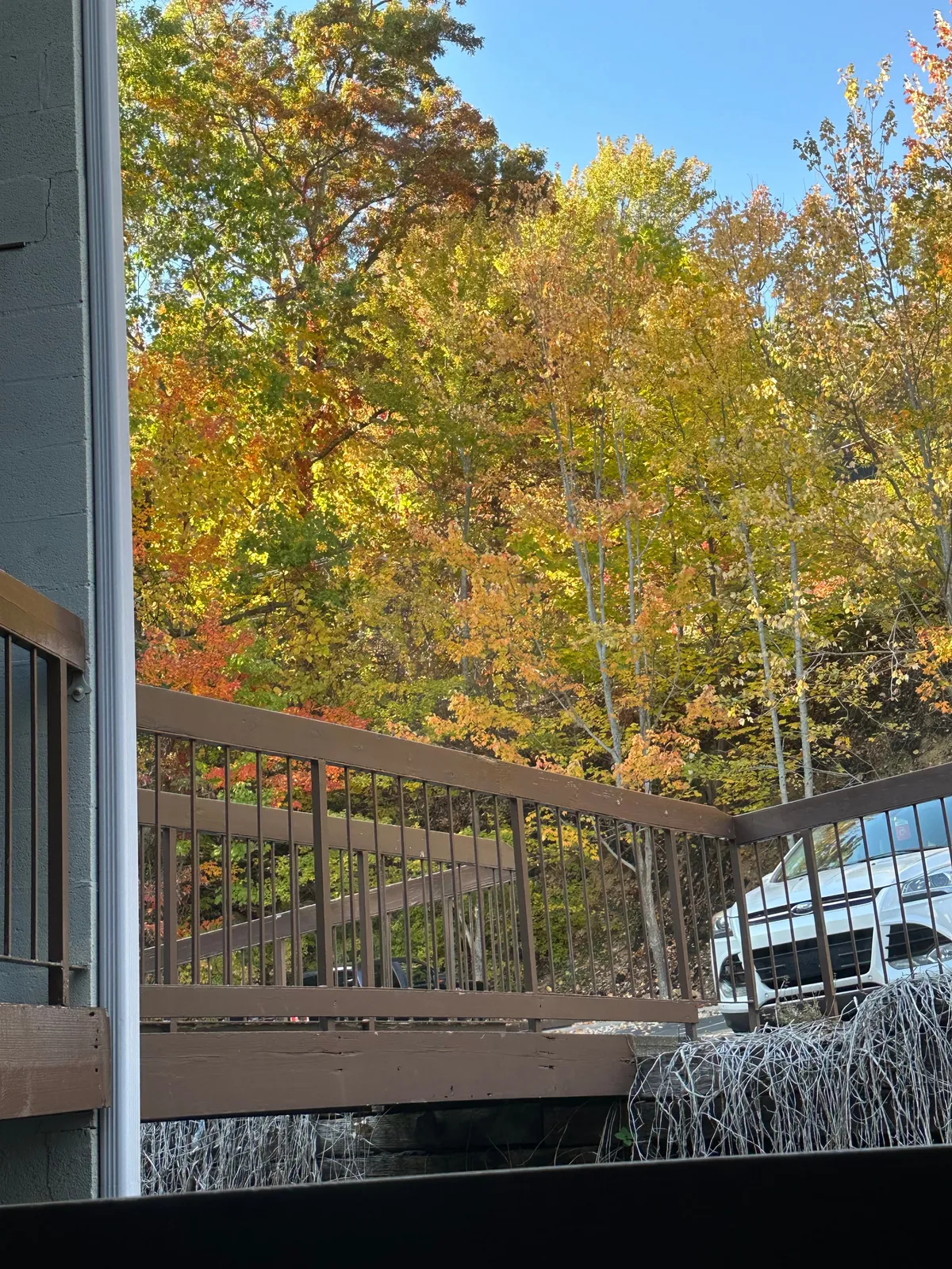 A balcony view framed by a wooden railing, overlooking colorful autumn foliage. The setting evokes peaceful mornings and evenings spent sipping coffee or enjoying the scenery.