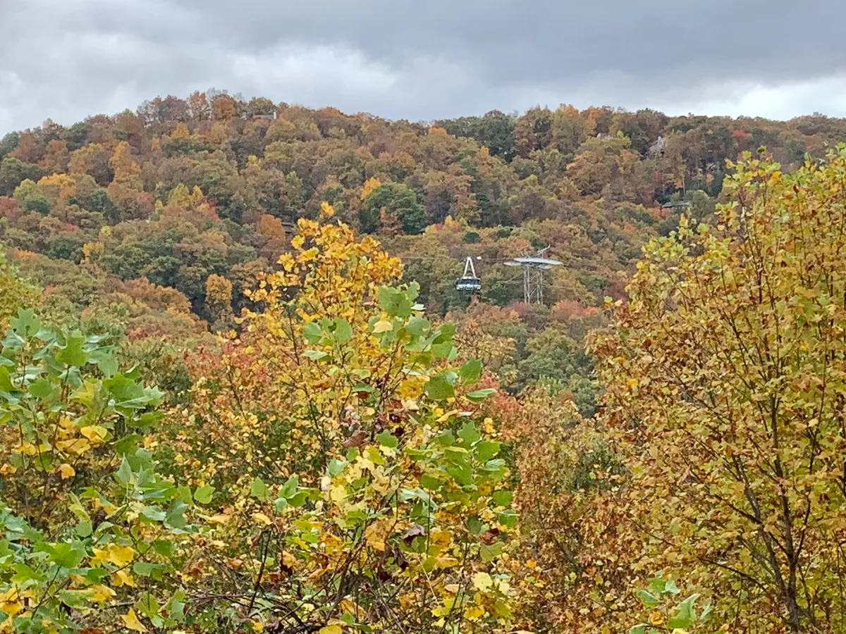 A scenic view featuring vibrant autumn foliage, a cable car gliding above, and stunning mountain vistas. The image evokes a sense of adventure and connection to the Smoky Mountains’ natural wonders.